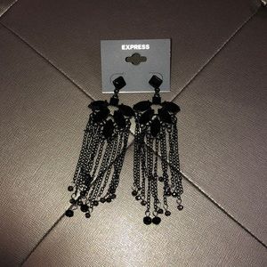 Express Earrings